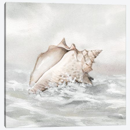 Washed Ashore III Canvas Print #CRO1211} by Carol Robinson Art Print