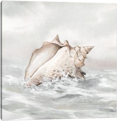 Washed Ashore III Canvas Art Print - Sea Shell Art