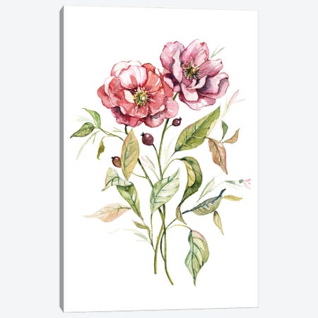 Wild Roses Canvas Print #CRO1215} by Carol Robinson Canvas Artwork