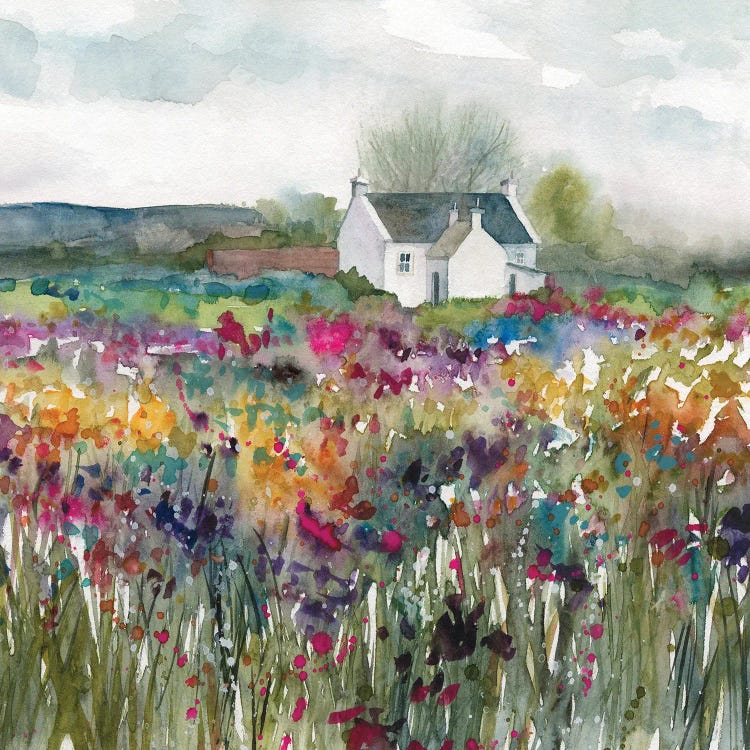 Wildflower Cottage by Carol Robinson wall art