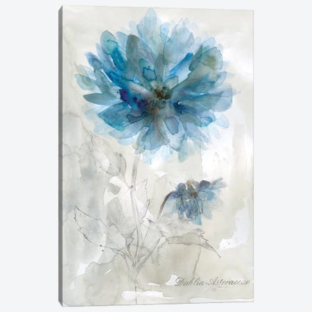 Blue Dahlia Canvas Print #CRO1233} by Carol Robinson Canvas Print