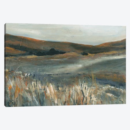 Copper Sunset Canvas Print #CRO1253} by Carol Robinson Canvas Art Print