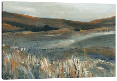 Copper Sunset Canvas Art Print - Field, Grassland & Meadow Art
