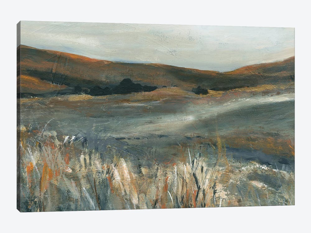 Copper Sunset by Carol Robinson 1-piece Canvas Artwork