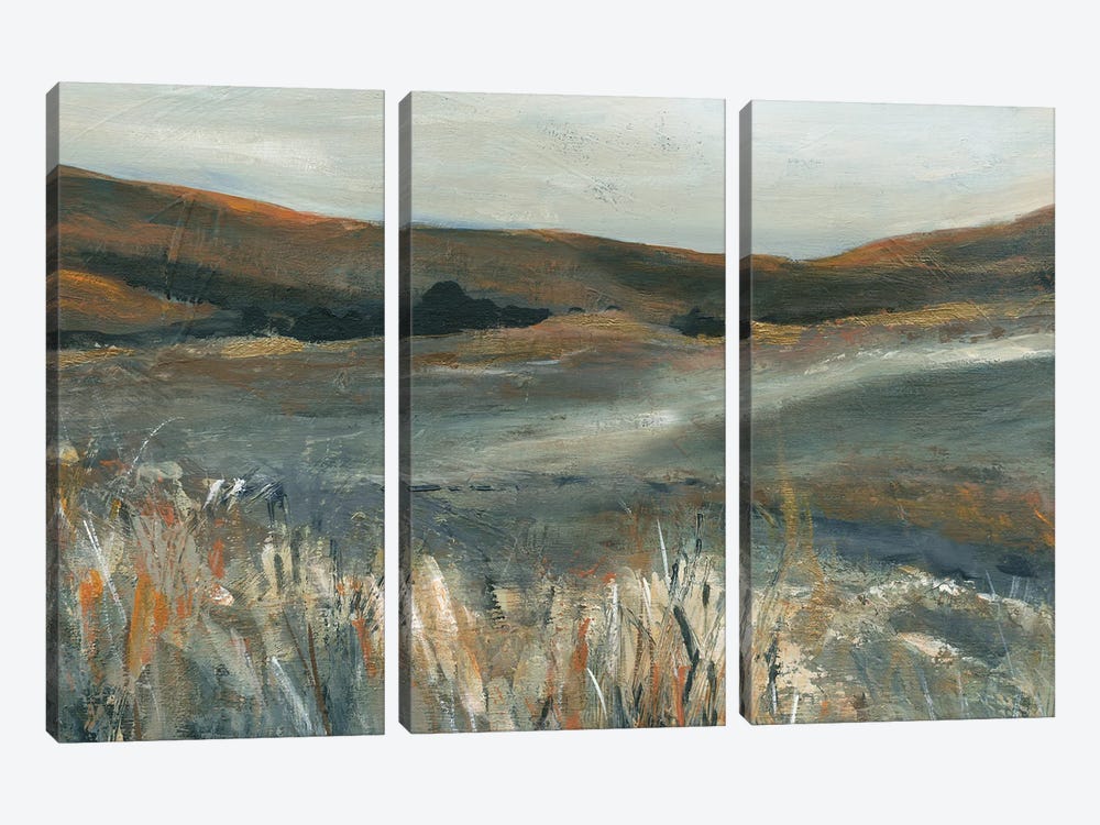 Copper Sunset by Carol Robinson 3-piece Canvas Artwork