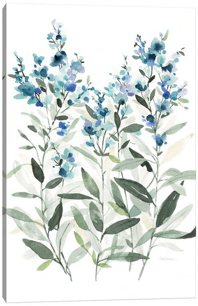 Delicate Blue Botanical II Canvas Art Print - Minimalist Flowers