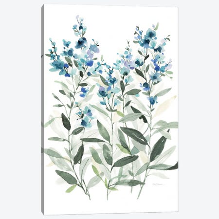 Delicate Blue Botanical II Canvas Print #CRO1255} by Carol Robinson Canvas Artwork