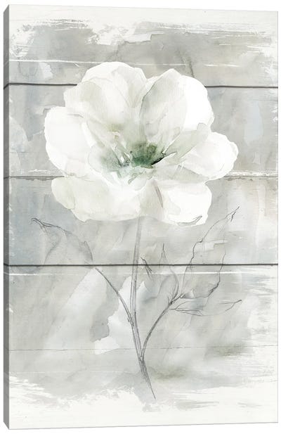 Farmhouse Rose I Canvas Art Print - Minimalist Flowers