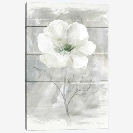 Farmhouse Rose I Canvas Print #CRO1258} by Carol Robinson Art Print