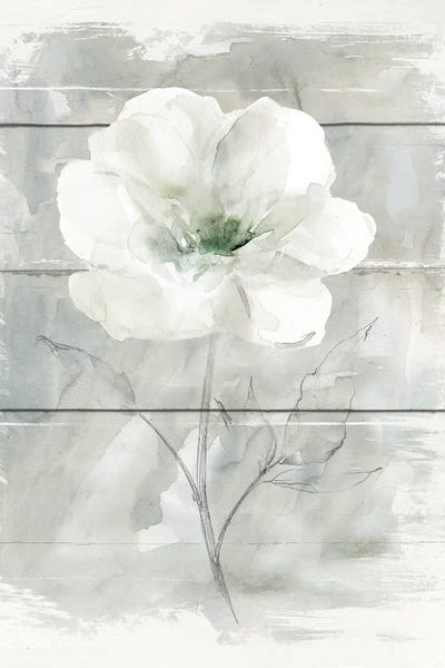 Minimalist Flowers: Farmhouse Rose I by Carol Robinson