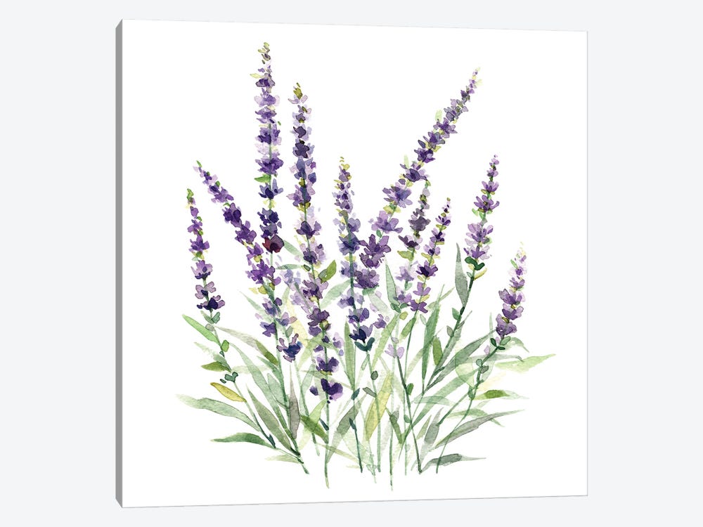 Lavender Botanical I by Carol Robinson 1-piece Canvas Art