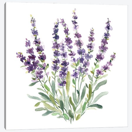 Lavender Botanical II Canvas Print #CRO1272} by Carol Robinson Art Print