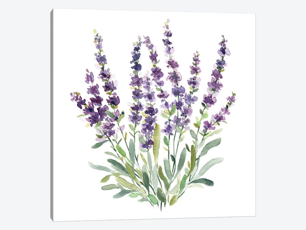 Lavender Botanical II by Carol Robinson 1-piece Canvas Print
