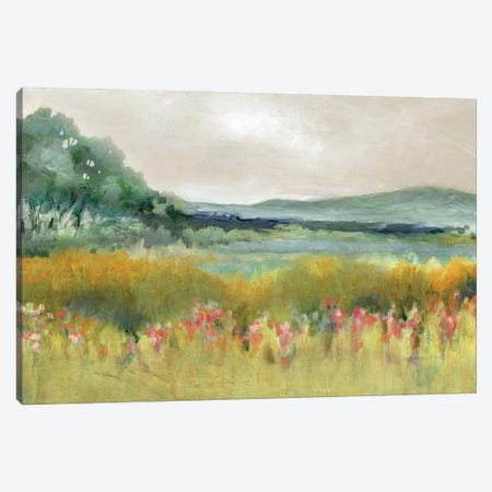 Springtime Calm Canvas Print #CRO1298} by Carol Robinson Canvas Print