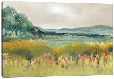 Springtime Calm Canvas Art Print - Large Minimalist Art