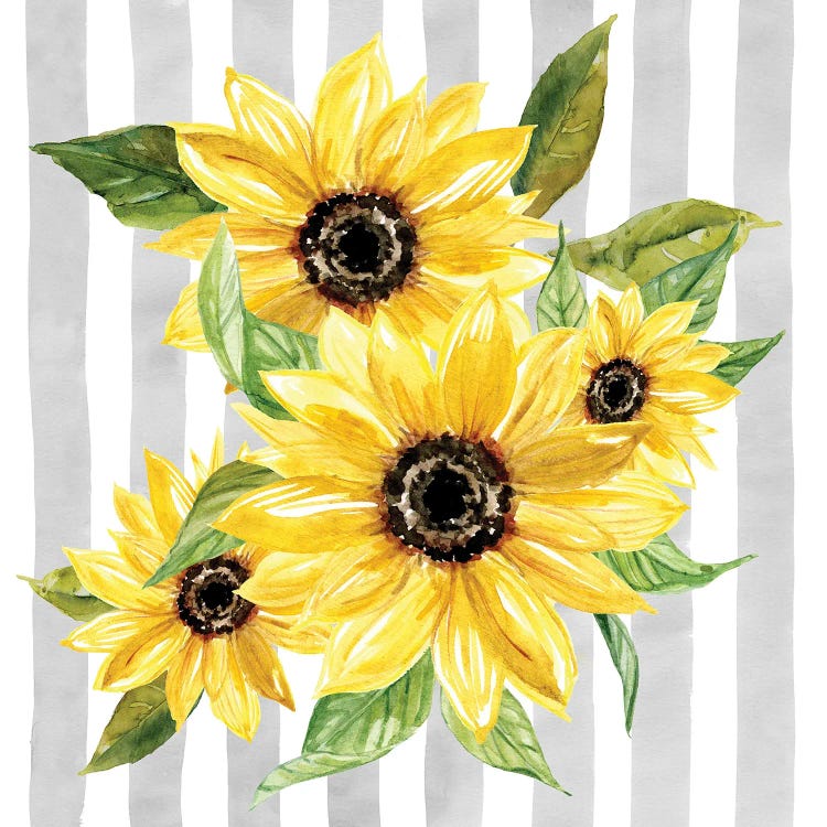 Sunflower Array I