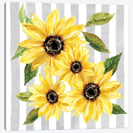 Sunflower Array II Canvas Print #CRO1302} by Carol Robinson Canvas Art Print
