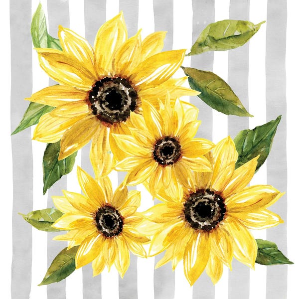 Sunflowers: Sunflower Array II by Carol Robinson