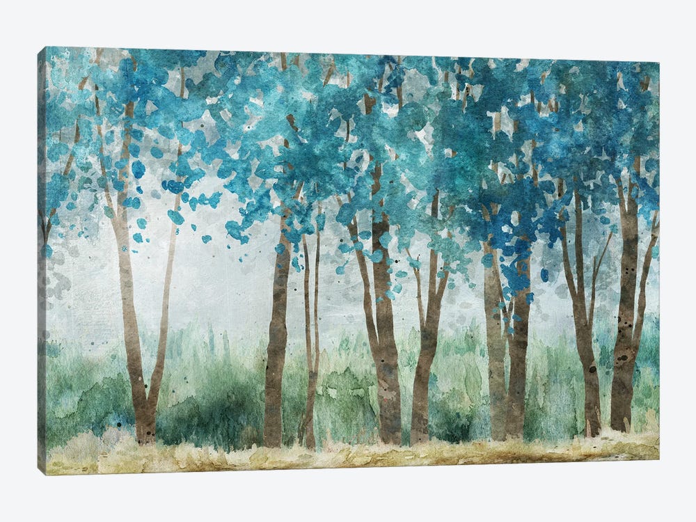 Sunwashed Grove by Carol Robinson 1-piece Canvas Print