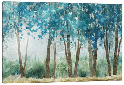 Sunwashed Grove Canvas Art Print - Carol Robinson
