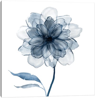 Indigo Bloom IV Canvas Art Print - Minimalist Flowers