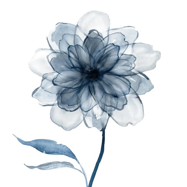 Galaxy Of Graphics: Indigo Bloom IV by Carol Robinson