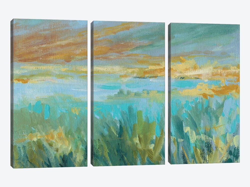 Grassy Beach by Carol Robinson 3-piece Canvas Art Print