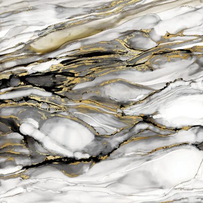 Marbled Gold I by Carol Robinson canvas print
