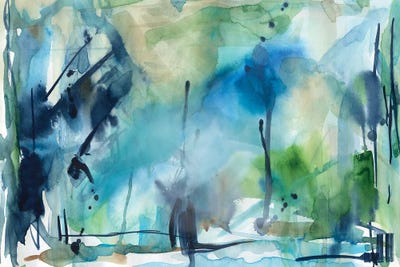 Rain In The Country by Carol Robinson canvas print