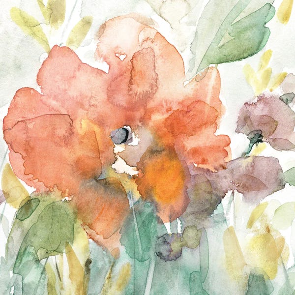 Watercolor Flowers: Sundrop Light by Carol Robinson