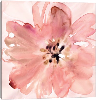 A Little Blush Canvas Art Print - Minimalist Flowers