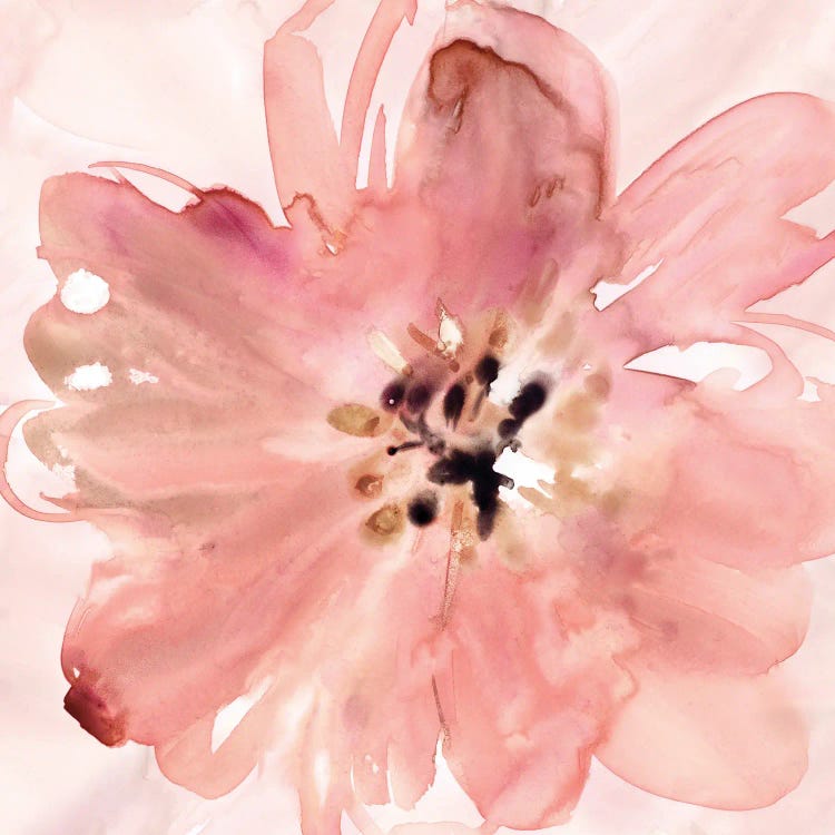 A Little Blush by Carol Robinson wall art