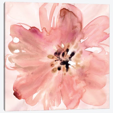 A Little Blush Canvas Print #CRO1339} by Carol Robinson Canvas Art