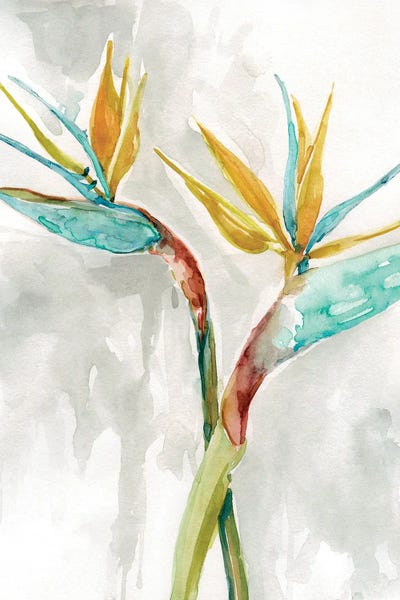 Tropical Living Room: Bird Of Paradise I by Carol Robinson