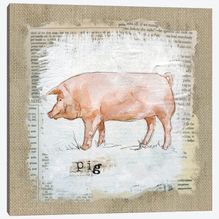 Burlap Pig Canvas Print #CRO134} by Carol Robinson Canvas Art