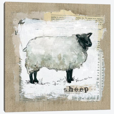 Burlap Sheep Canvas Print #CRO135} by Carol Robinson Canvas Artwork