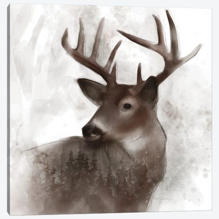 Forest Deer Canvas Print #CRO1374} by Carol Robinson Canvas Art Print