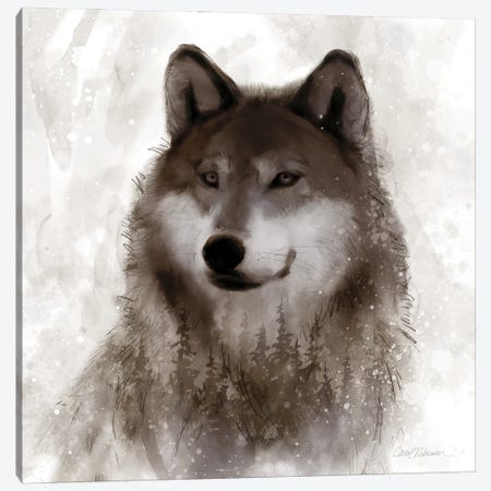 Forest Wolf Canvas Print #CRO1375} by Carol Robinson Canvas Art Print