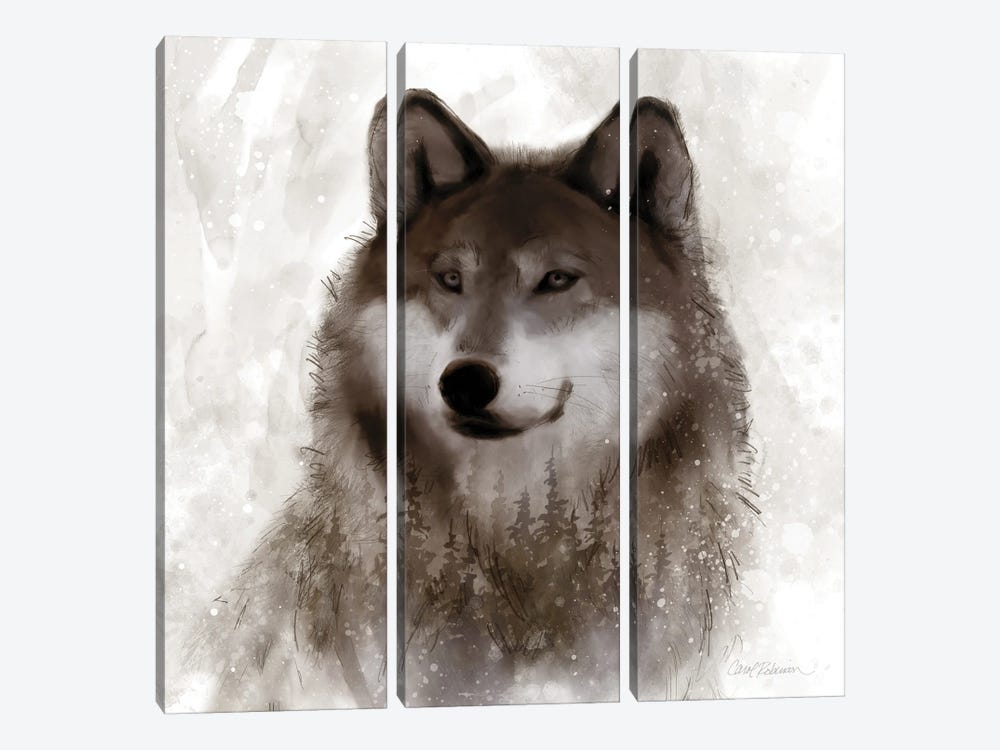 Forest Wolf by Carol Robinson 3-piece Canvas Art Print