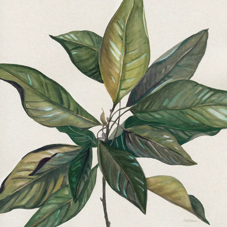 Magnolia Leaves I Art Print by Carol Robinson | iCanvas