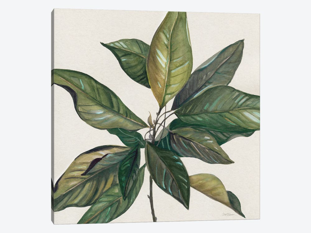 Magnolia Leaves I by Carol Robinson 1-piece Canvas Art Print