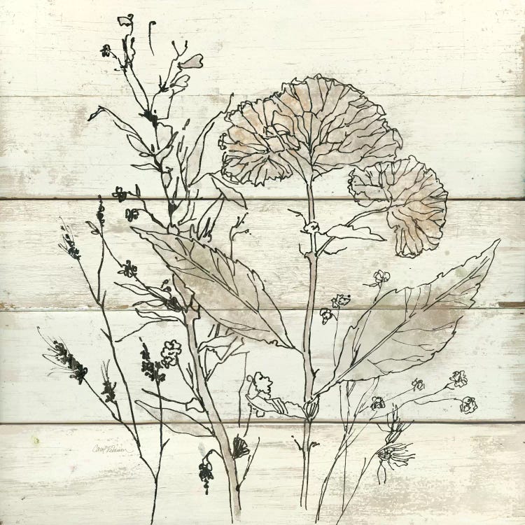 Dried Flower Study I