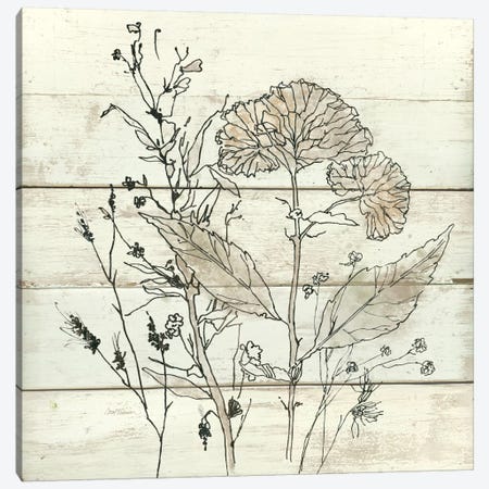 Dried Flower Study I Canvas Print #CRO139} by Carol Robinson Art Print