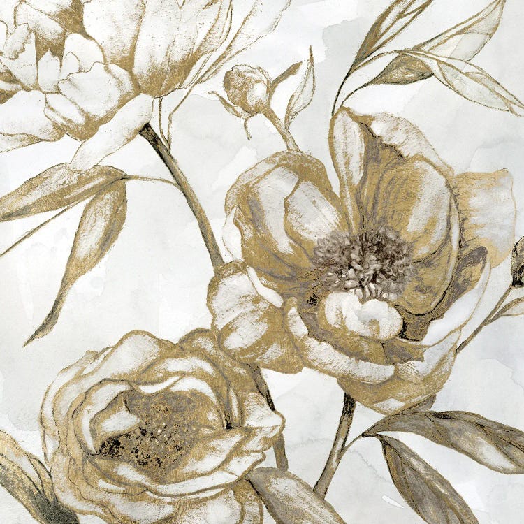 Peony Glitz II by Carol Robinson wall art