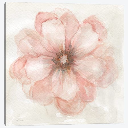 Pink Posy II Canvas Print #CRO1401} by Carol Robinson Canvas Art