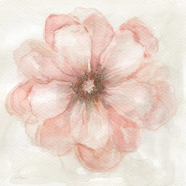 Shabby Chic Décor: Pink Posy II by Carol Robinson