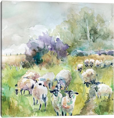 Spring Flock Canvas Art Print - Sheep Art