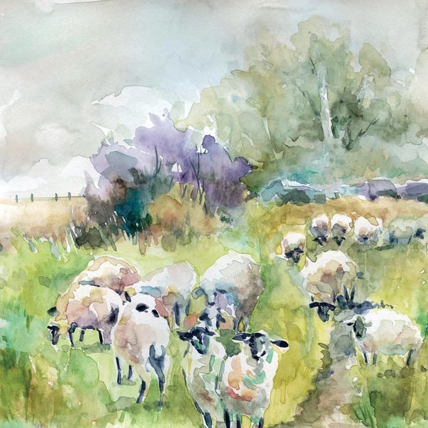 Sheep: Spring Flock by Carol Robinson