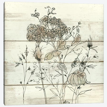 Dried Flower Study II Canvas Print #CRO140} by Carol Robinson Canvas Wall Art