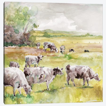 Spring Herd Canvas Print #CRO1410} by Carol Robinson Art Print